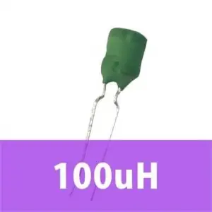 100uH Bobin (Kondansatör Tip)