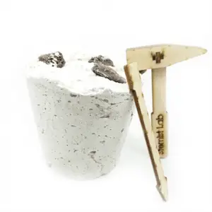 Arkeolojik Kazı Seti - Arkeolog Oluyorum (Fosil Bilimi)