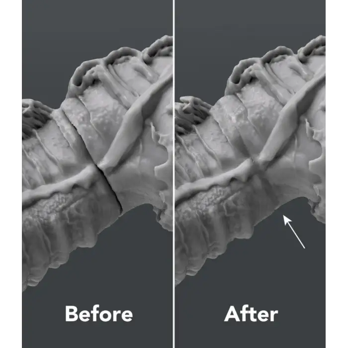 Phrozen UV Clay Tamir Kili