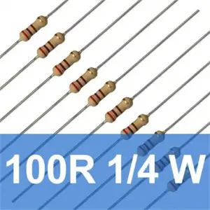 100R 1/4W Direnç