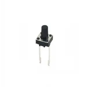 Mini Tact Switch Buton 6x6x5mm - 2 pİN