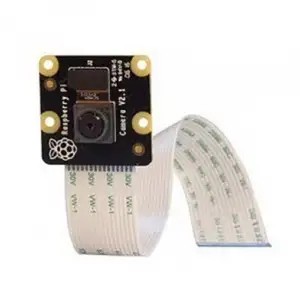 Raspberry Pi Kamera Modülü v2 - NoIr