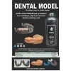Senertek Model Dental Model Reçinesi