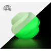 Bambu Lab Pla Glow - Green (With Spool)