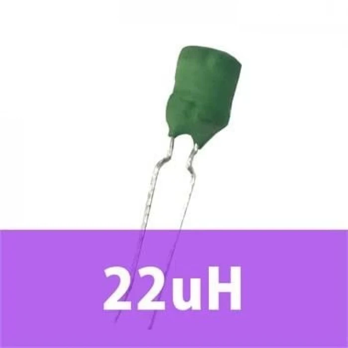 22uH Bobin (Kondansatör Tip)