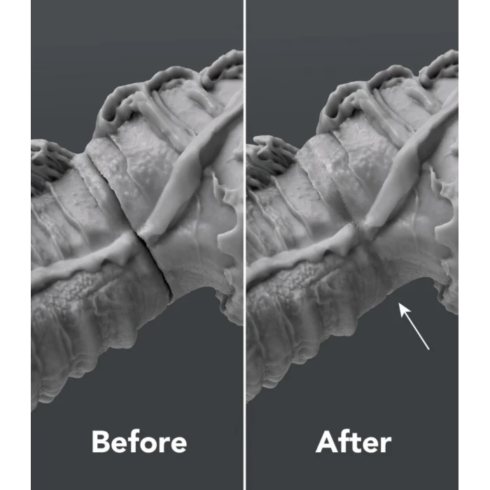 Phrozen UV Clay Tamir Kili