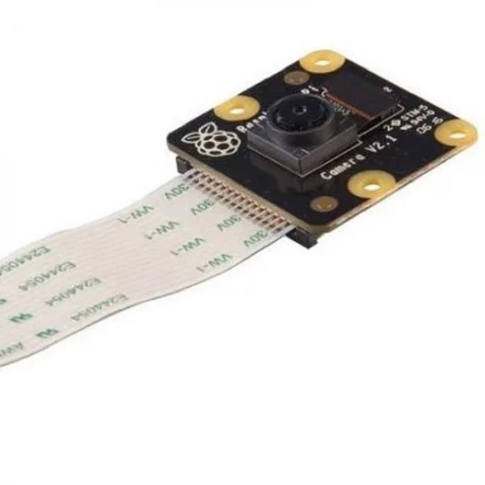 Raspberry Pi Kamera Modülü v2 - NoIr