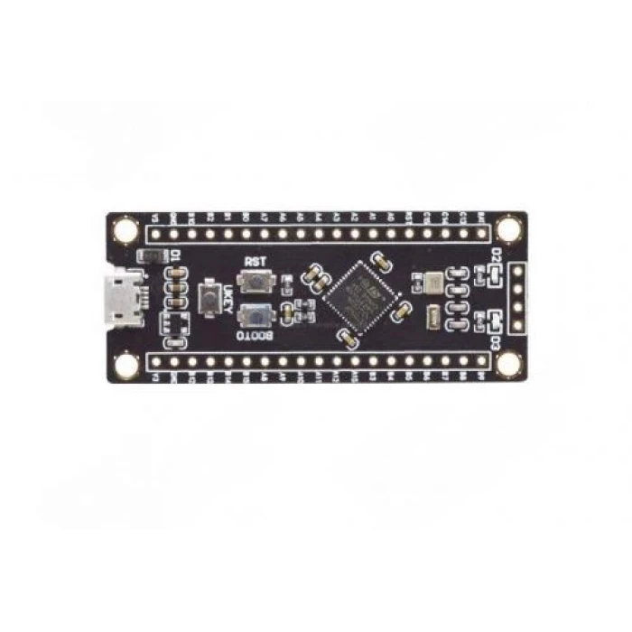 STM32F401CCU6 ARM STM32 Geliştirme Kartı
