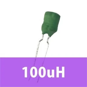 100uH Bobin (Kondansatör Tip)