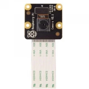 Raspberry Pi Kamera Modülü v2 - NoIr