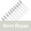 5mm Şeffaf Beyaz Diyot LED