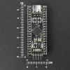 DFROBOT STM32F411 Black Pill Geliştirme Kartı