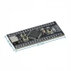 STM32F401RCT6 ARM STM32 Geliştirme Kartı Type-C
