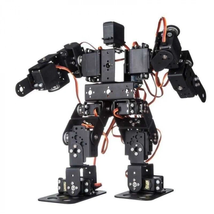 13 Eksenli İnsansı Robot - Humanoid Robot