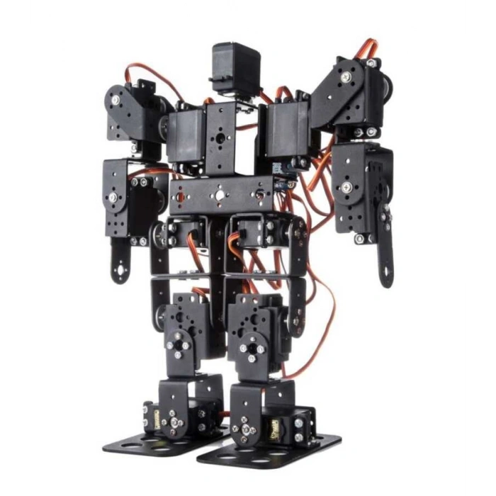 13 Eksenli İnsansı Robot - Humanoid Robot