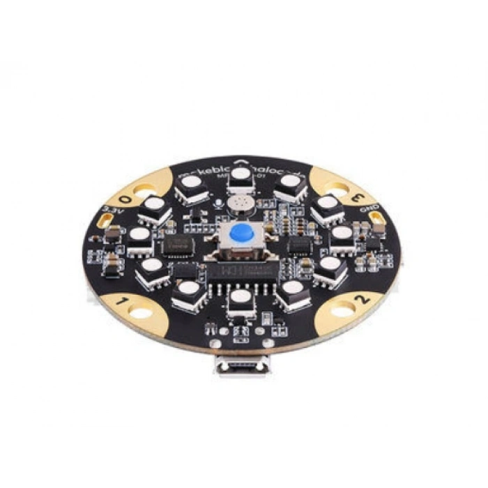 HaloCode IoT Tabanlı Kodlama Platformu