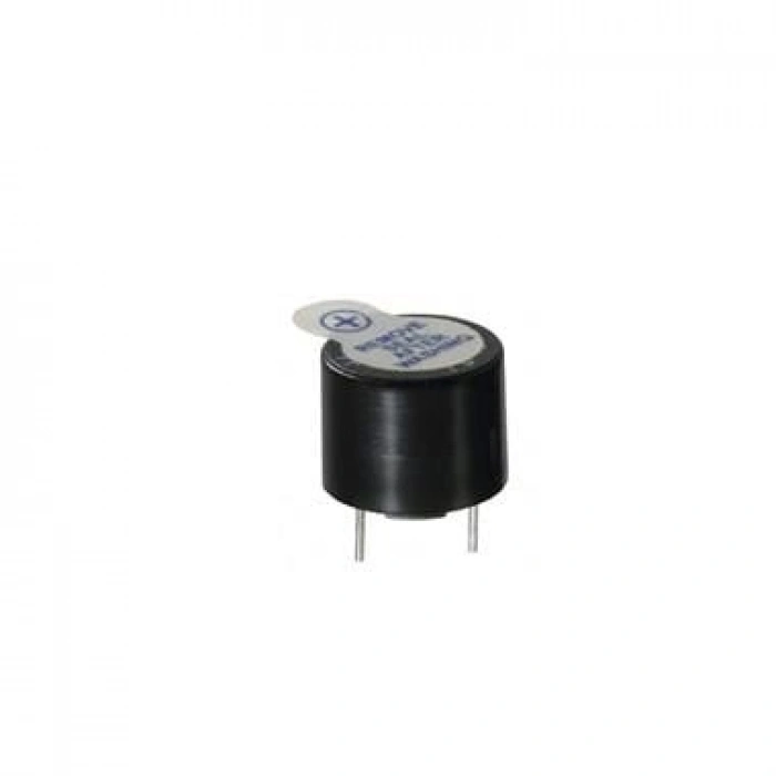 Buzzer
