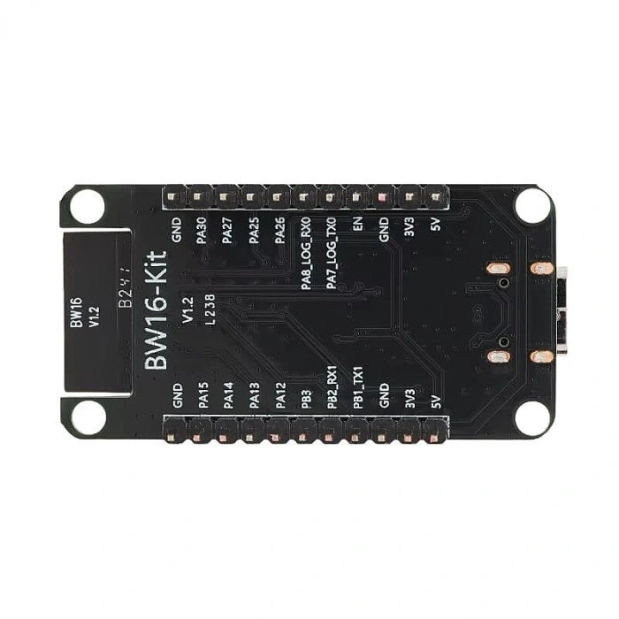 BW16 CH340 WiFi+BLE Geliştirme Kartı - Type C