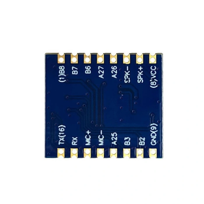 HLK-V20 Ses Tanıma Modülü