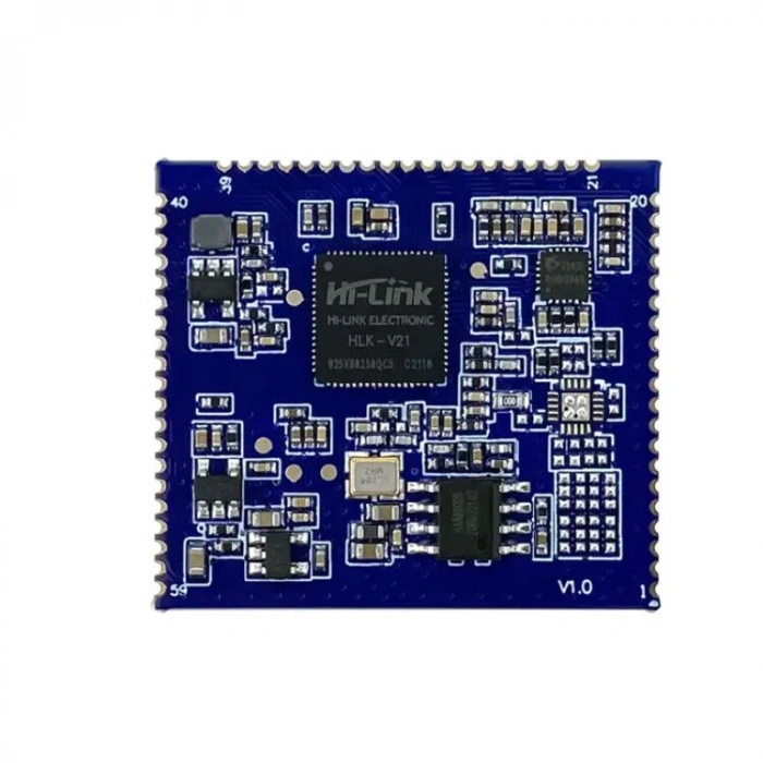 HLK-V21 Offline Ses Tanıma Modülü