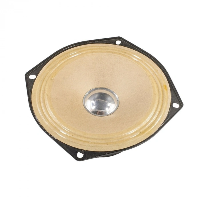 Hoparlör 2 Ohm 2Ω 10W 134x134mm