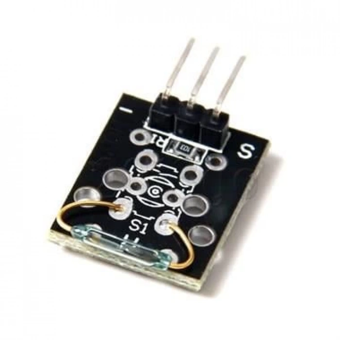 Mini Reed Röle Kartı