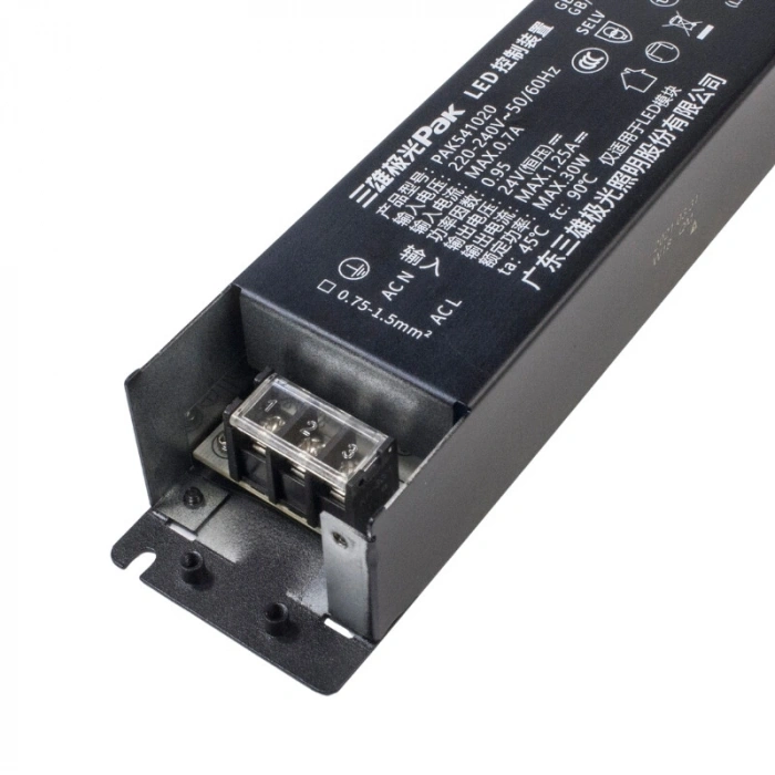 PAK541020 24V 1.25A 30W Led Sürücü