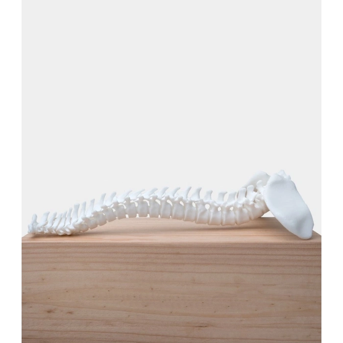 Phrozen Ceramic White UV Reçine - 0.5 L