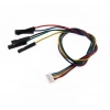 5-Pin JST 1.25mm Dişi - 2.54mm Dişi Dupont Dönüştürücü