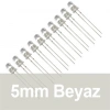 5mm Şeffaf Beyaz Diyot LED