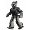 DARwIn OP İnsansı Robot ARGE Platformu