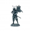 Anycubic Uv Reçine SLA (YENİ SERİ) SPT