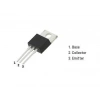 BD244C - TO220 PNP Transistör