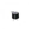 Buzzer