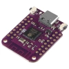 ESP32 S2 Mini WiFi Geliştirme Kartı
