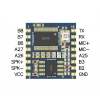 HLK-V20 Ses Tanıma Modülü