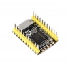 Luckfox Pico Mini RV1103 Linux Geliştirme Kartı
