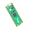 Paspberry Pi Pico 2