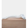 Phrozen Ceramic White UV Reçine - 0.5 L