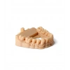 Phrozen Water-Washable Dental Model Reçinesi - Bej 1 Kg