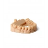 Phrozen Water-Washable Dental Model Reçinesi - Bej 1 Kg