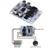 TPA3110 1*30W Mono Amfi Devresi