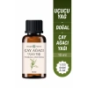 Çay Ağacı Yağı / 10 ml (Tıbbi)