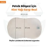 PELVİK Sargı Bezi