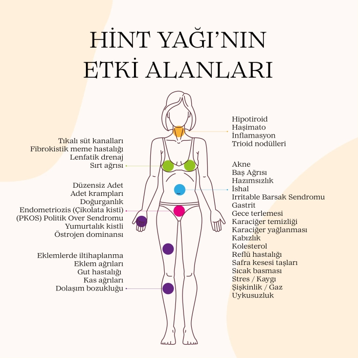 PELVİK Sargı Bezi