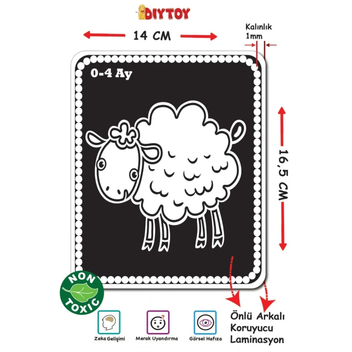 BEBEĞİMİN İLK ZEKA KARTLARI 0-12 AY