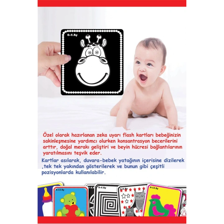 BEBEĞİMİN İLK ZEKA KARTLARI 0-12 AY