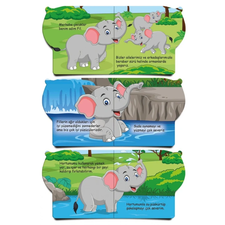 İLK KİTAPLARIM HAYVANLAR SERİSİ 6 KİTAP