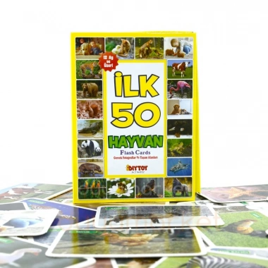 İLK 50 HAYVAN FLASH KARTLAR