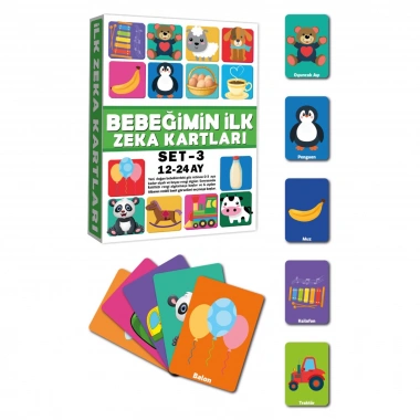 BEBEĞİMİN İLK ZEKA KARTLARI 12 24 AY